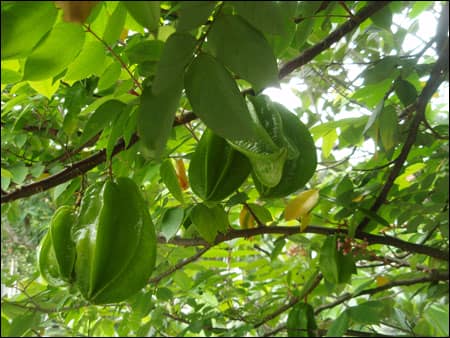 bi-quyet-cang-da-mat-bang-qua-khe-an-toan-tuyet-doi