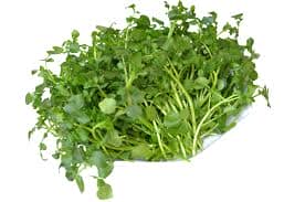 Rau cải xoong cũng rất tốt cho việc chữa nám da mặt