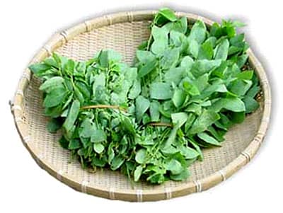 Rau ngót làm mờ vết nám cực hiệu quả